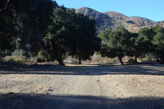 Enlarge photo 71