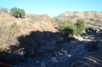 Enlarge photo 72