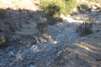 Enlarge photo 73