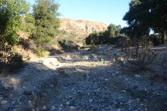 Enlarge photo 74