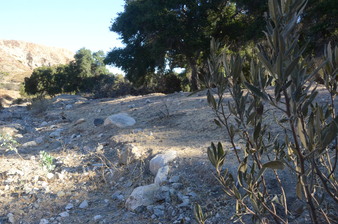 Enlarge photo 77