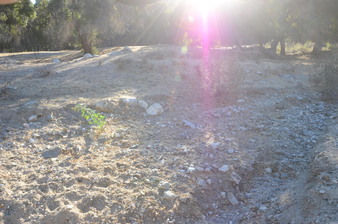 Enlarge photo 80