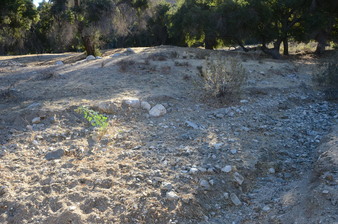Enlarge photo 81