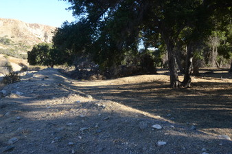 Enlarge photo 84