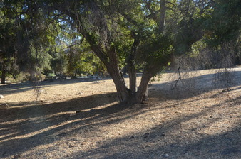 Enlarge photo 86