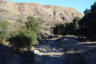 Enlarge photo 87