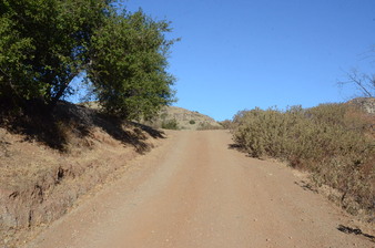 Enlarge photo 88