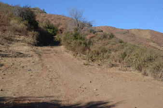 Enlarge photo 89