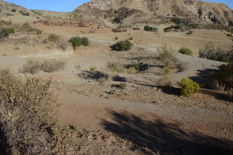 Enlarge photo 91
