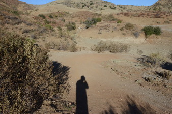 Enlarge photo 93