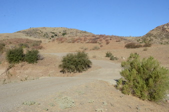 Enlarge photo 103