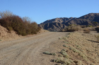 Enlarge photo 105