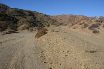 Enlarge photo 106