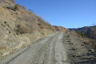 Enlarge photo 113