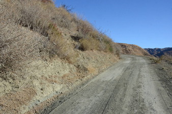 Enlarge photo 114