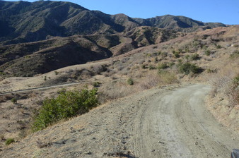 Enlarge photo 117