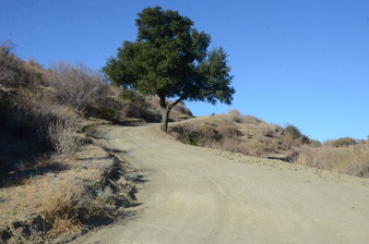Enlarge photo 121