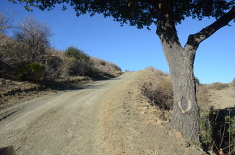 Enlarge photo 123