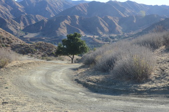 Enlarge photo 125