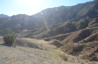 Enlarge photo 131