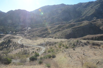 Enlarge photo 141
