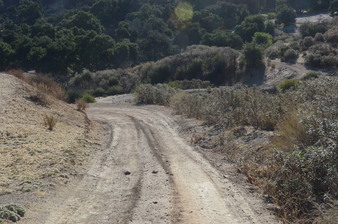Enlarge photo 147
