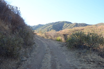 Enlarge photo 150