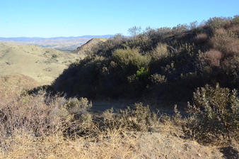 Enlarge photo 157