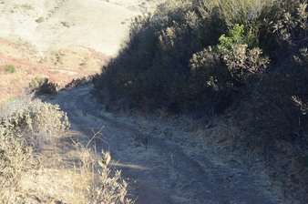 Enlarge photo 158