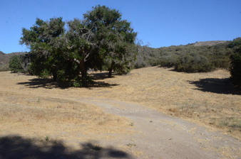Enlarge photo 1