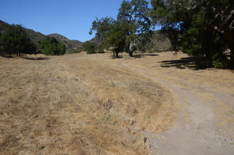 Enlarge photo 4