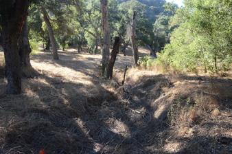 Enlarge photo 11