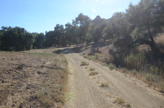 Enlarge photo 14