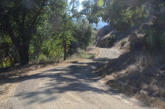 Enlarge photo 21