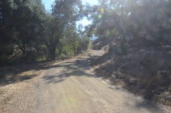Enlarge photo 23