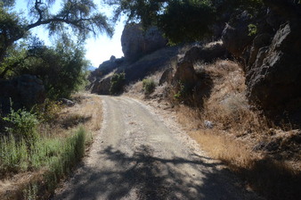 Ventura Farms -various -TO