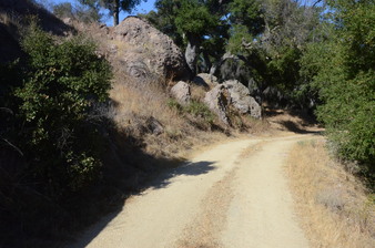 Enlarge photo 32