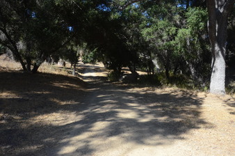 Enlarge photo 34