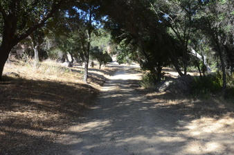 Enlarge photo 35