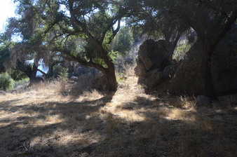 Enlarge photo 36