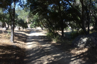 Enlarge photo 37