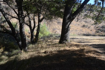 Enlarge photo 40
