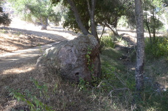 Enlarge photo 41