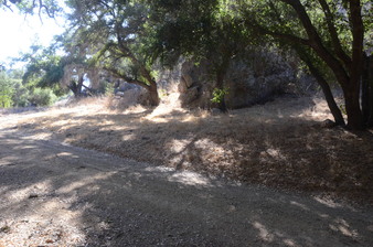 Enlarge photo 42