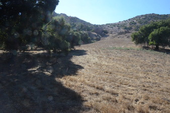 Enlarge photo 43