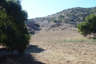 Enlarge photo 44