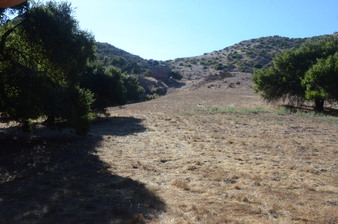 Enlarge photo 46