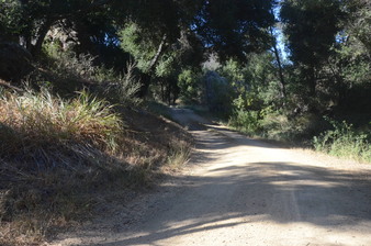 Enlarge photo 47