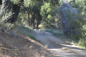 Enlarge photo 48