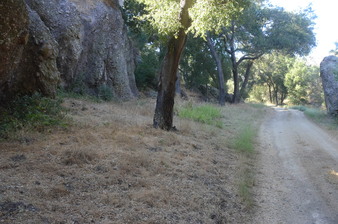 Enlarge photo 49
